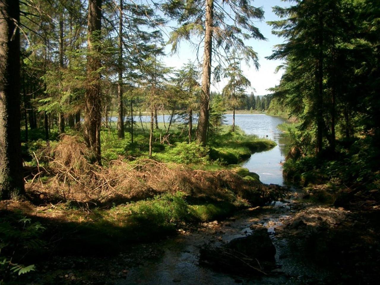 Ferienhof Ellerbeck Langdorf  Εξωτερικό φωτογραφία